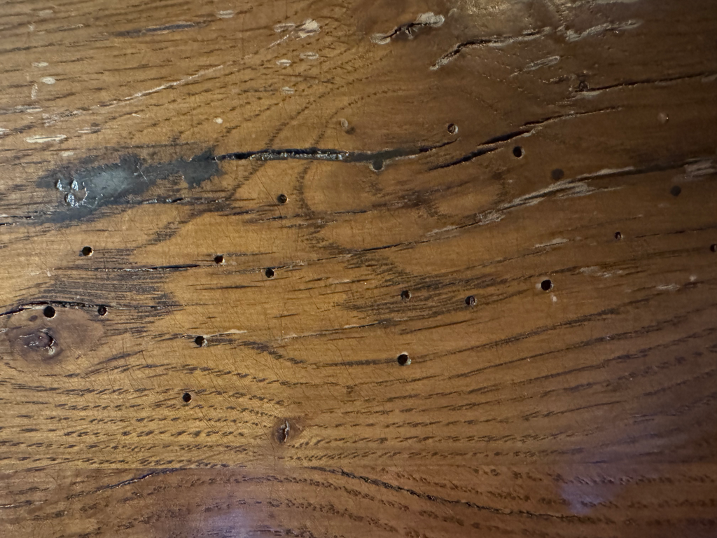 Small holes in oak table top at restaurant. Do you know what made these holes?